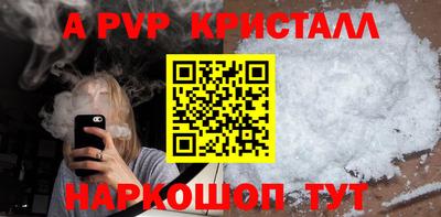 спиды Донской