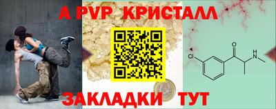 спиды Донской