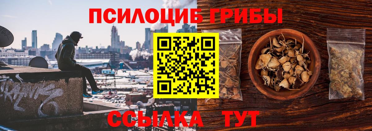 Галлюциногенные грибы мухоморы Курчатов